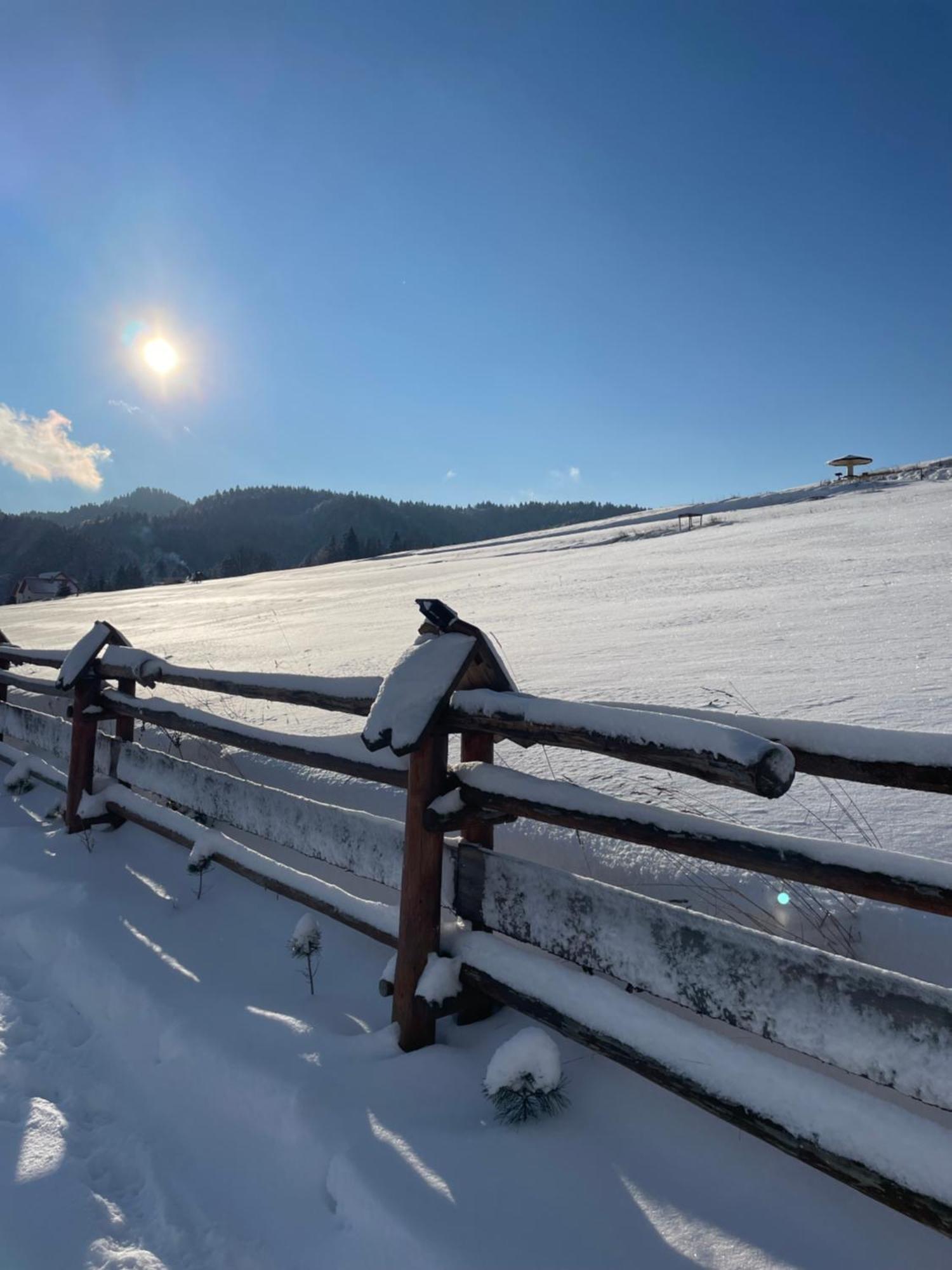 Somnium Pieniny Chalet *