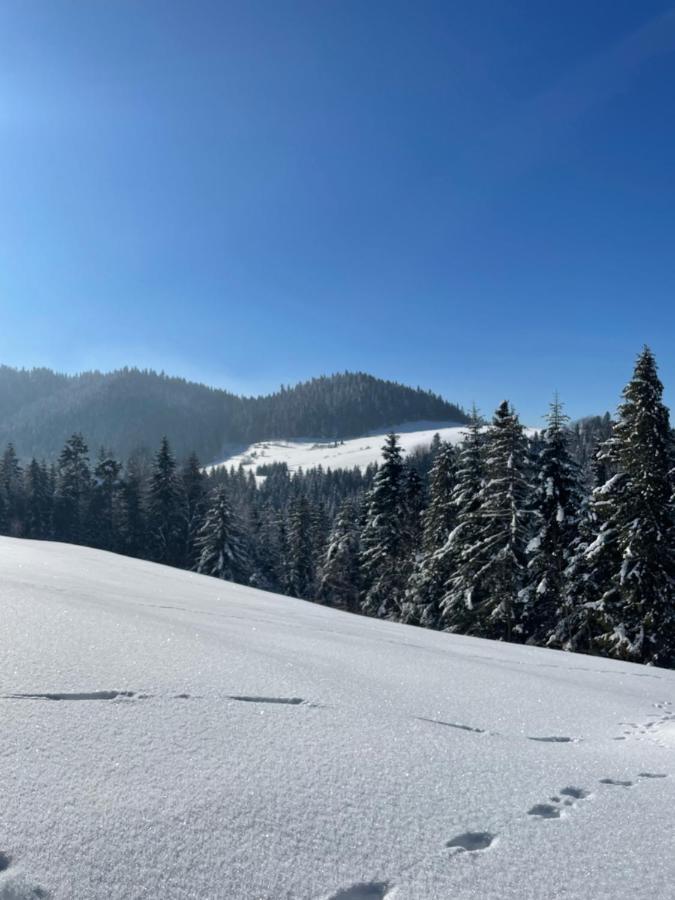 Somnium Pieniny Chalet