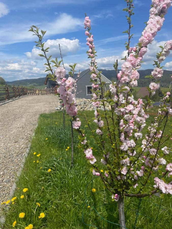 Chalet Somnium Pieniny Tylka