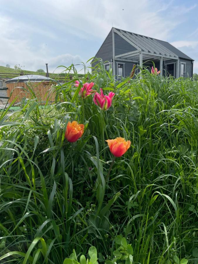 Chalet Somnium Pieniny Tylka