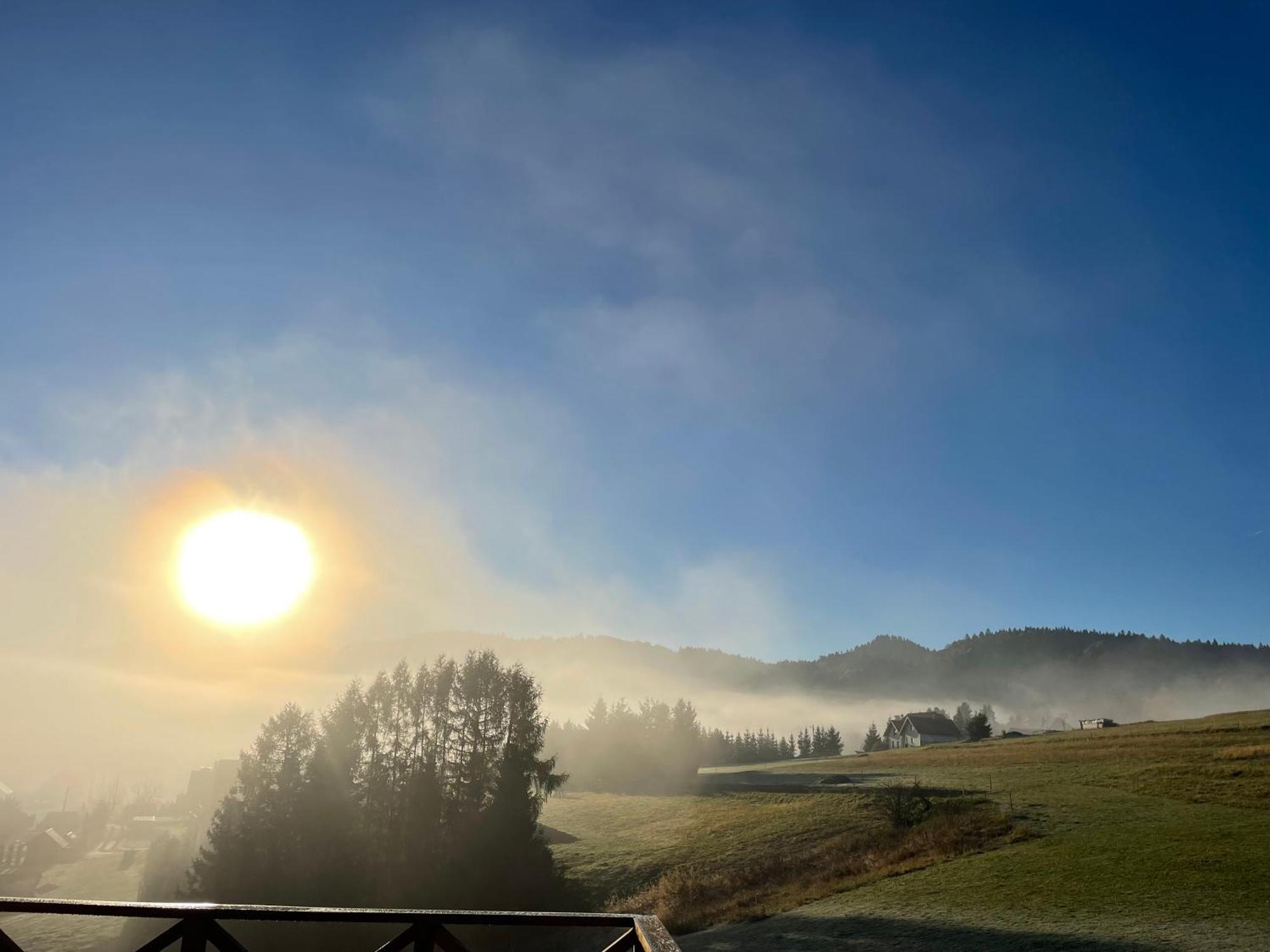 Somnium Pieniny Tylka
