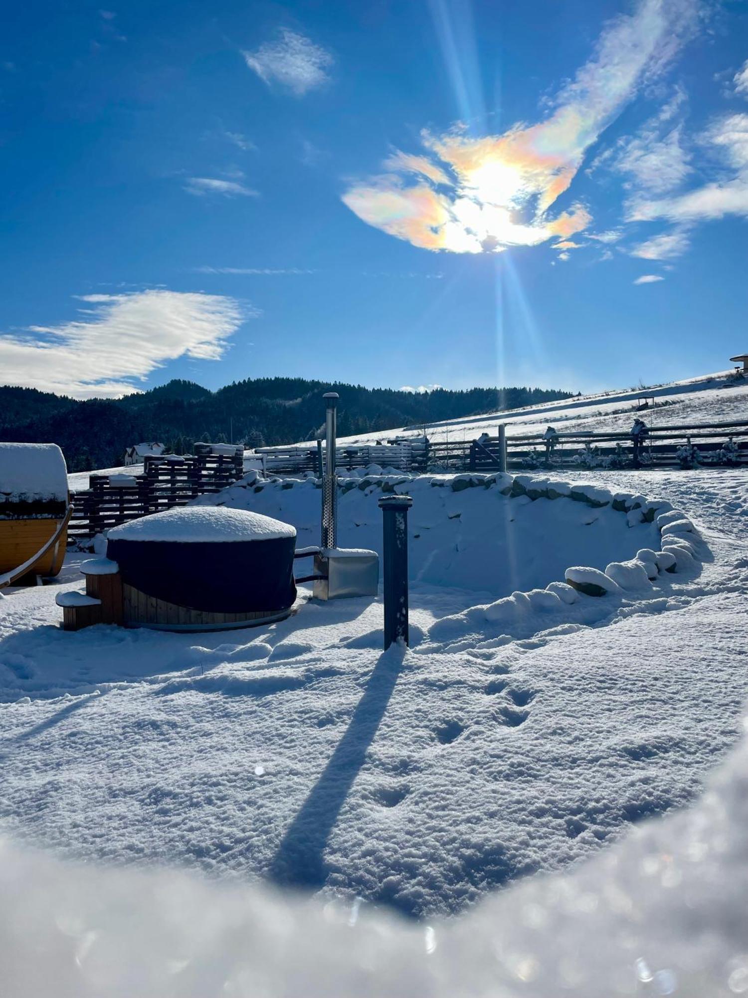 Chalet Somnium Pieniny *
